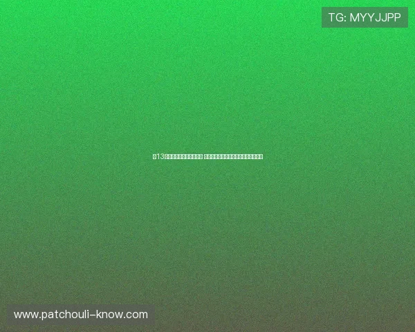 第13届姚基金慈善赛定址杭州 孙铭徽王哲林丁彦雨航等领衔参赛阵容