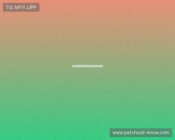 法甲主帅大解析:如何带领球队走向成功与挑战 法甲主帅大解析:如何带领球队走向成功与挑战