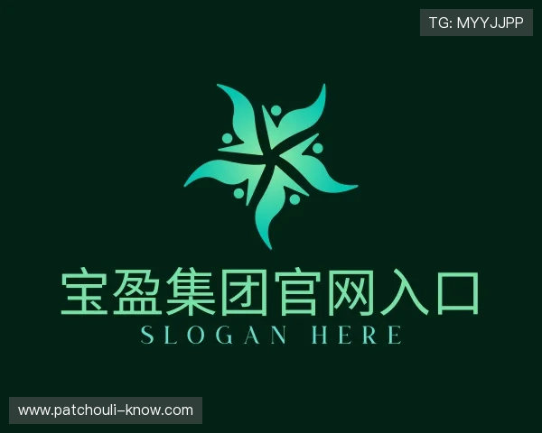 解读宝盈集团官网入口